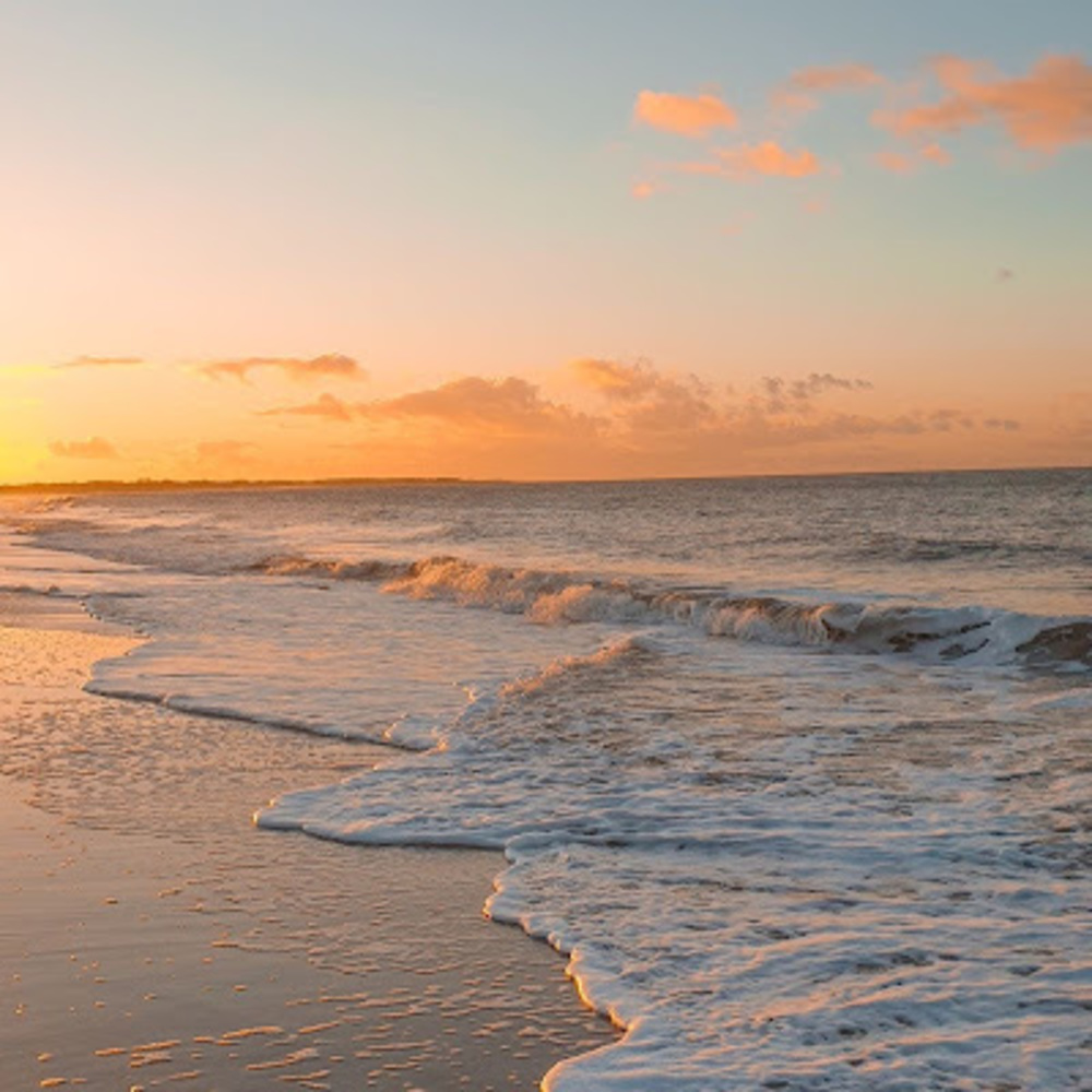 Meet your Posher, Jocelyn